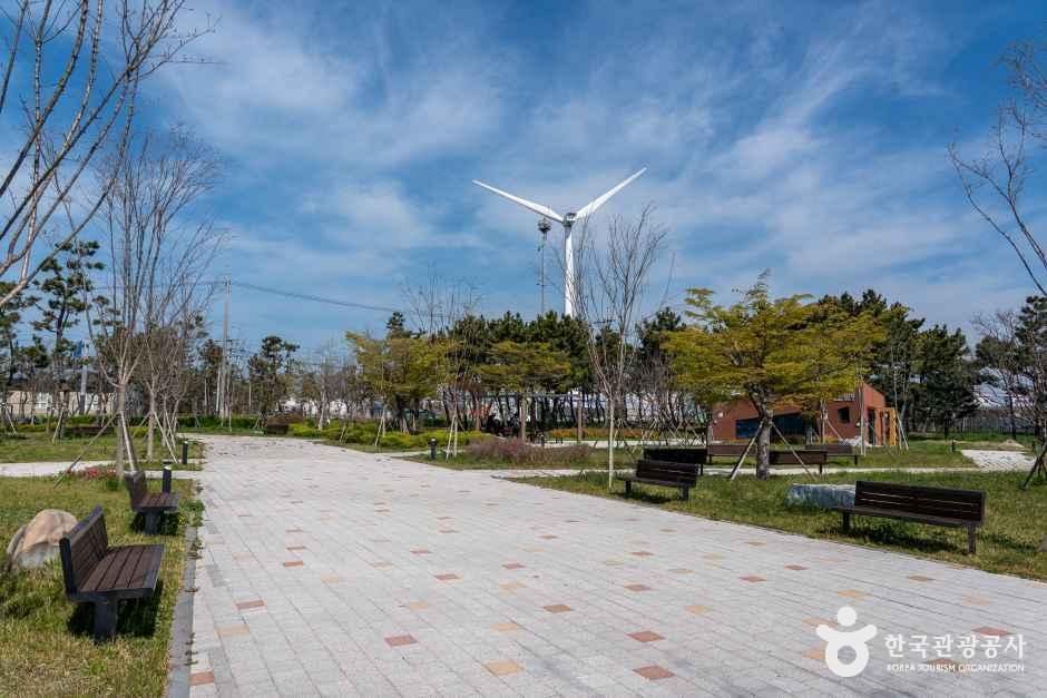 대부도공원 여행 추천 - 메고지고 대부도공원 여행 추천 - 메고지고