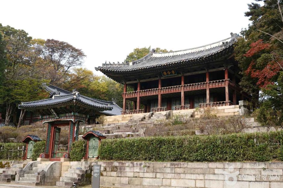 창덕궁과 후원 [유네스코 세계유산] 여행 추천 - 메고지고