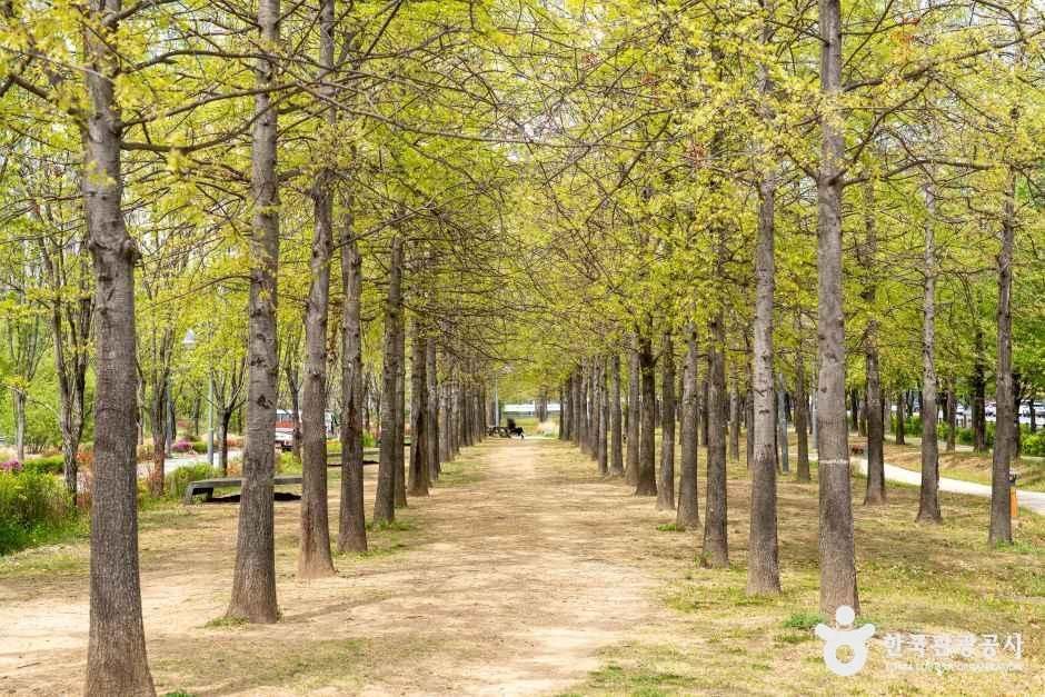 글빛누리공원 여행 추천 - 메고지고 글빛누리공원 여행 추천 - 메고지고
