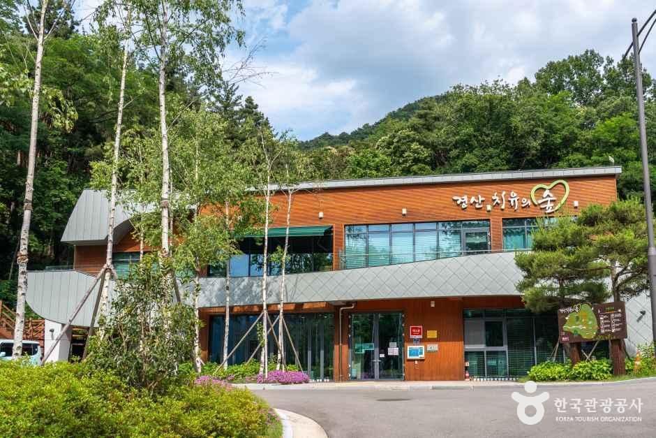 경산 치유의 숲 여행 추천 - 메고지고 경산 치유의 숲 여행 추천 - 메고지고