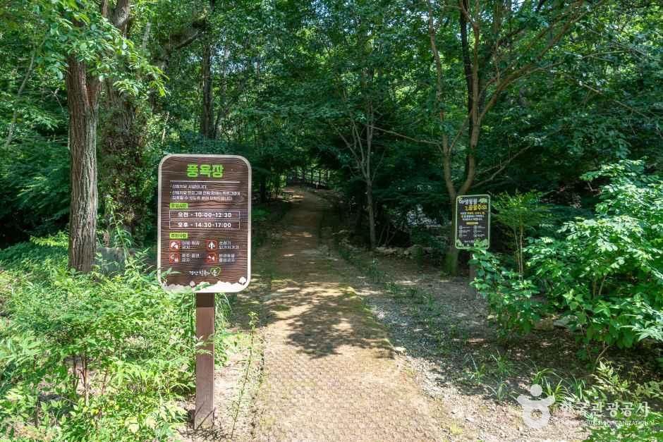 경산 치유의 숲 여행 추천 - 메고지고 경산 치유의 숲 여행 추천 - 메고지고