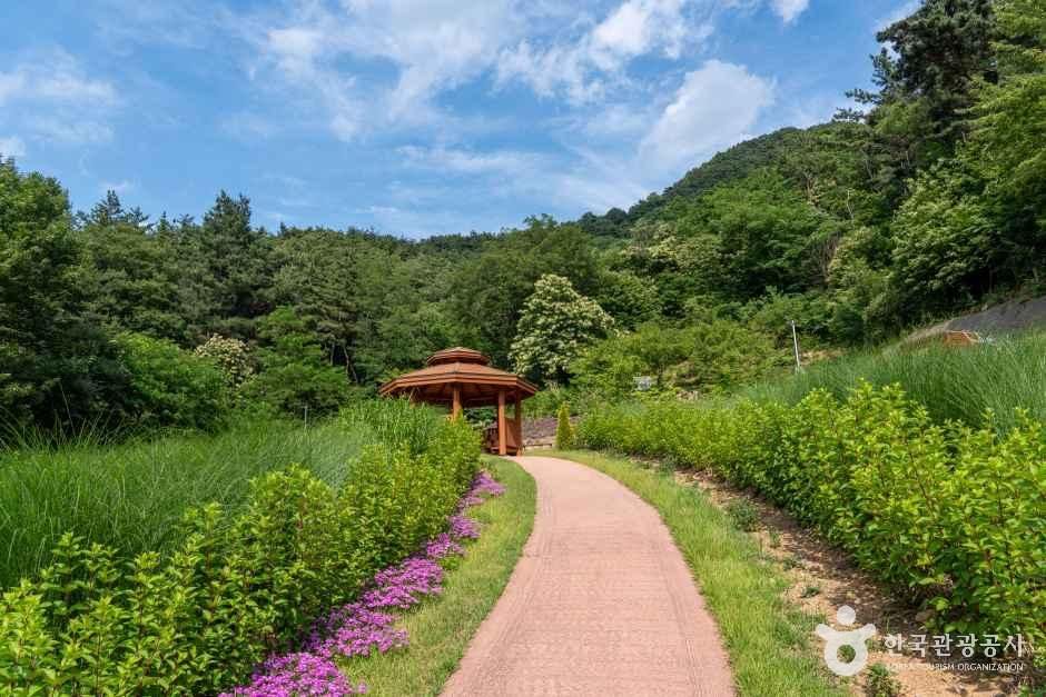 경산 치유의 숲 여행 추천 - 메고지고 경산 치유의 숲 여행 추천 - 메고지고