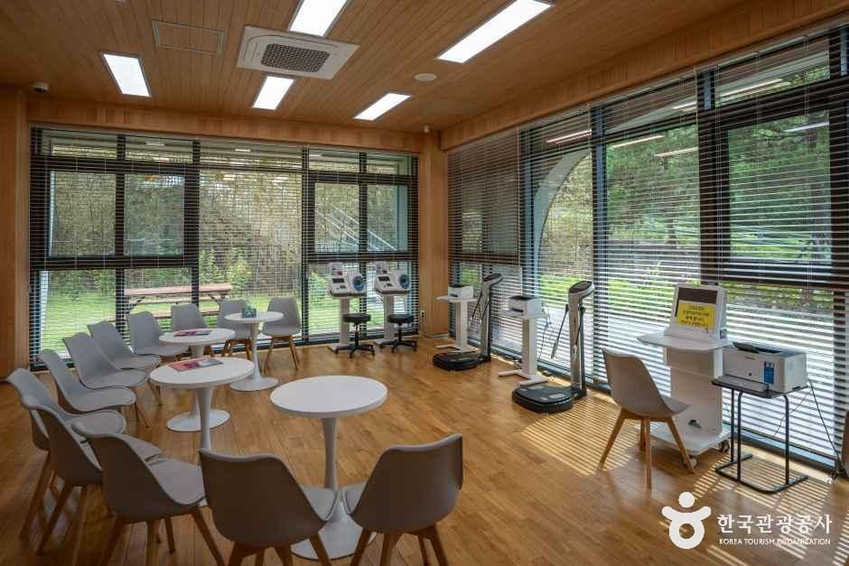 경산 치유의 숲 여행 추천 - 메고지고 경산 치유의 숲 여행 추천 - 메고지고