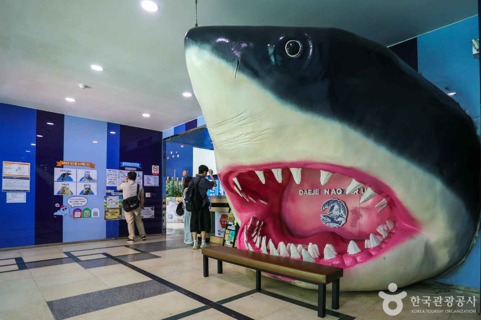 대전아쿠아리움 여행 추천 - 메고지고 대전아쿠아리움 여행 추천 - 메고지고
