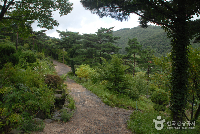 고운식물원 여행 추천 - 메고지고