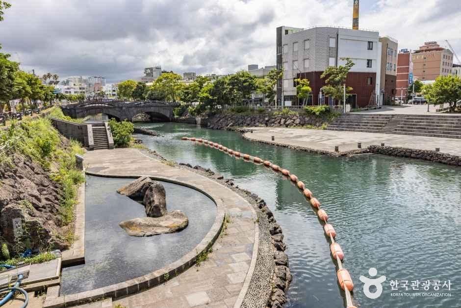 산지천 여행 추천 - 메고지고 산지천 여행 추천 - 메고지고