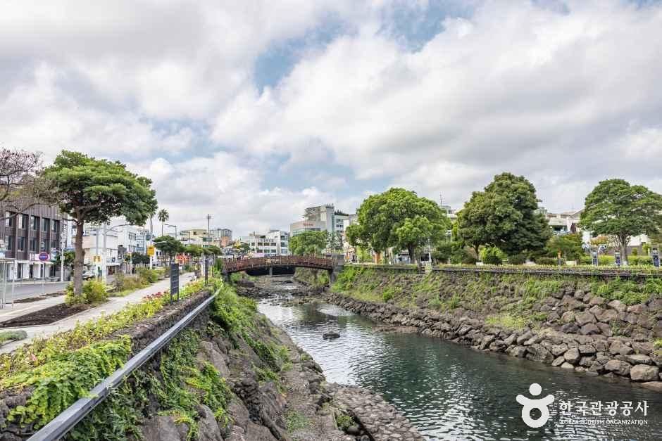 산지천 여행 추천 - 메고지고 산지천 여행 추천 - 메고지고