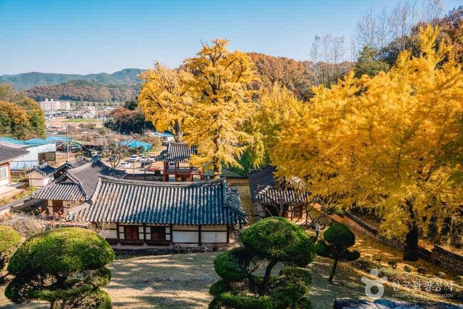 함안향교 여행 추천 - 메고지고 함안향교 여행 추천 - 메고지고