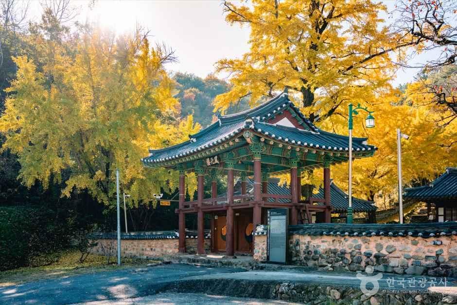 함안향교 여행 추천 - 메고지고 함안향교 여행 추천 - 메고지고