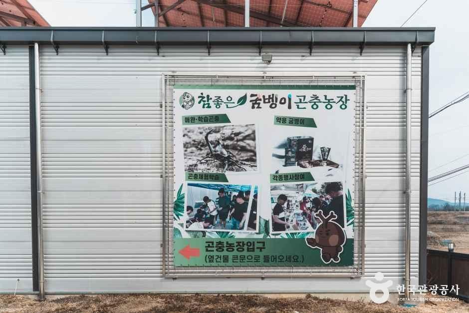 참좋은굼벵이 곤충농장 여행 추천 - 메고지고 참좋은굼벵이 곤충농장 여행 추천 - 메고지고