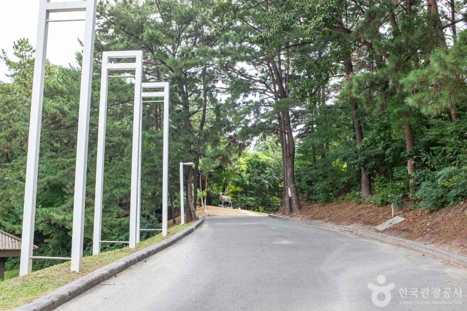 포항시립미술관 여행 추천 - 메고지고