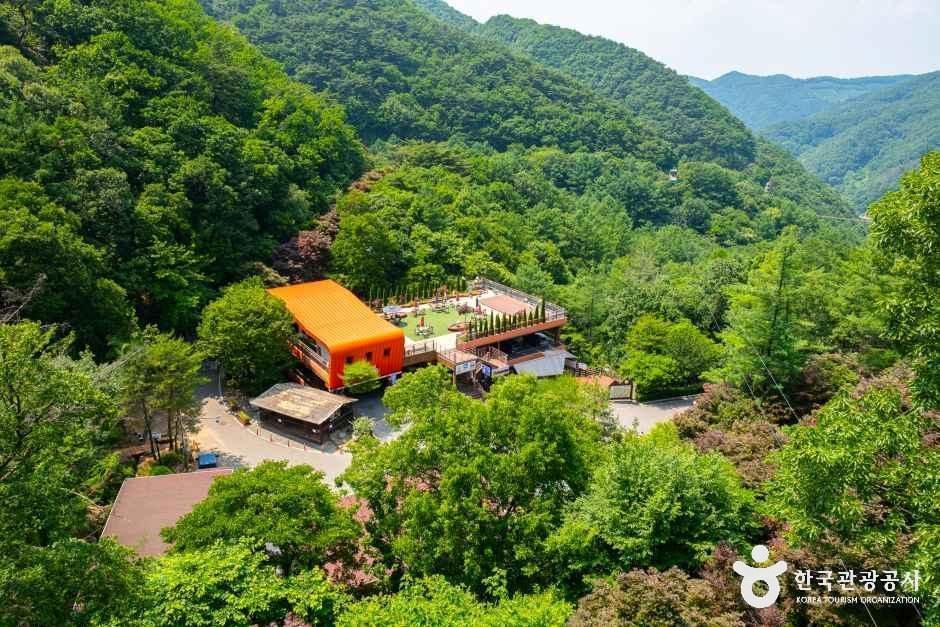 좌구산 자연휴양림 여행 추천 - 메고지고 좌구산 자연휴양림 여행 추천 - 메고지고
