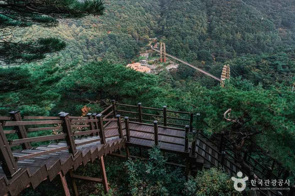 좌구산 자연휴양림 여행 추천 - 메고지고 좌구산 자연휴양림 여행 추천 - 메고지고