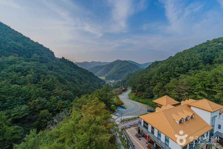 좌구산 자연휴양림 여행 추천 - 메고지고 좌구산 자연휴양림 여행 추천 - 메고지고