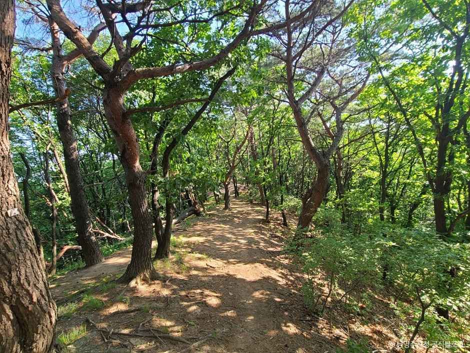 백봉산 여행 추천 - 메고지고 백봉산 여행 추천 - 메고지고