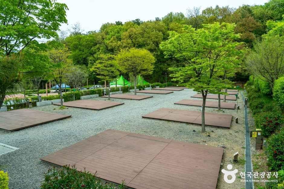 초막골생태공원느티나무야영장 여행 추천 - 메고지고 초막골생태공원느티나무야영장 여행 추천 - 메고지고