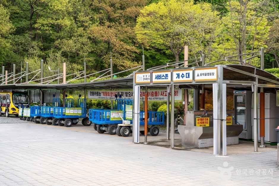 초막골생태공원느티나무야영장 여행 추천 - 메고지고 초막골생태공원느티나무야영장 여행 추천 - 메고지고