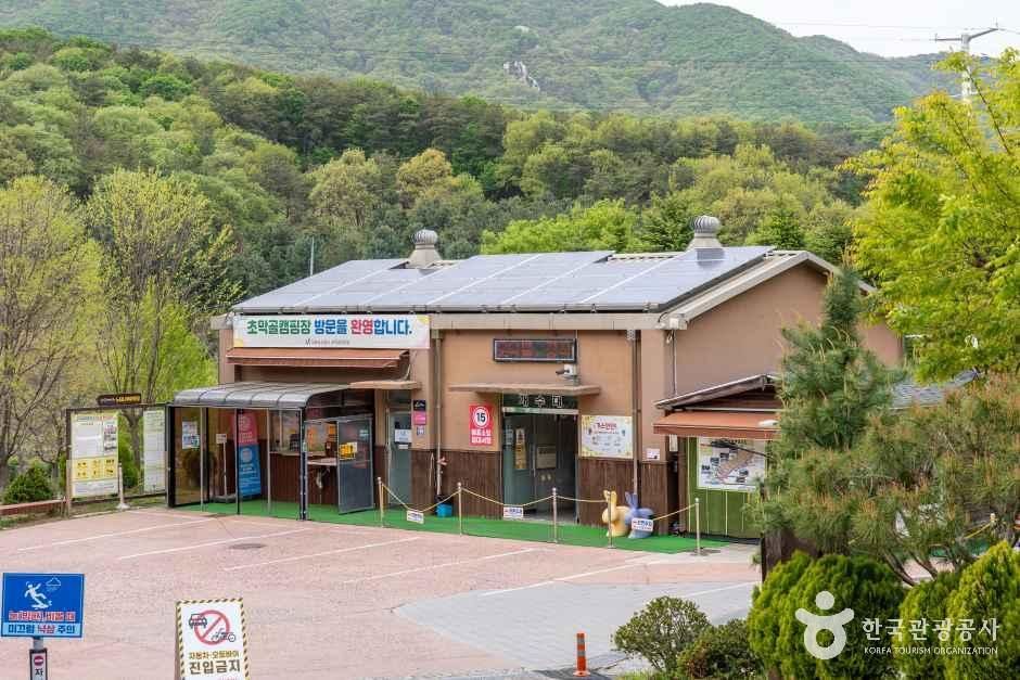 초막골생태공원느티나무야영장 여행 추천 - 메고지고 초막골생태공원느티나무야영장 여행 추천 - 메고지고