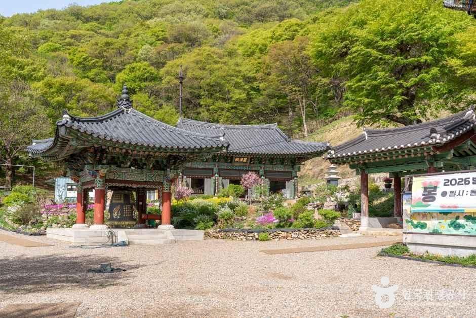 수리사(군포) 여행 추천 - 메고지고