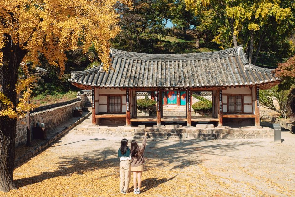 무성서원 [유네스코 세계유산] 여행 추천 - 메고지고