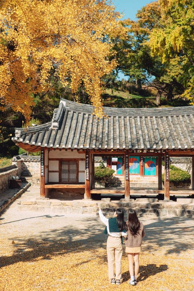 무성서원 [유네스코 세계유산] 여행 추천 - 메고지고