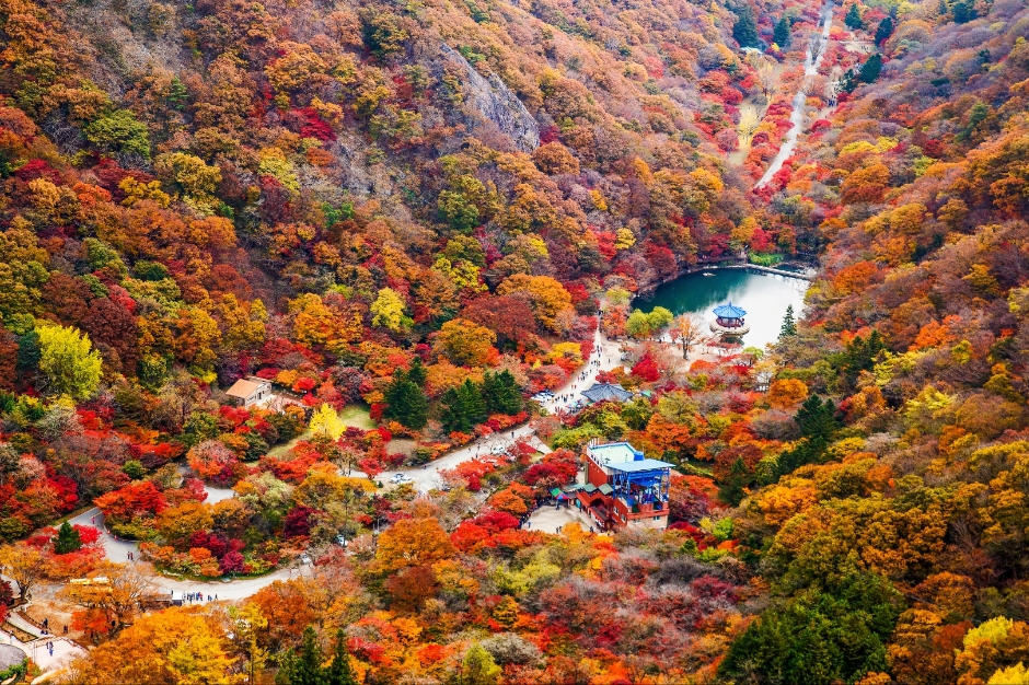 우화정(내장산) 여행 추천 - 메고지고 우화정(내장산) 여행 추천 - 메고지고