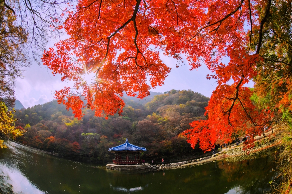 우화정(내장산) 여행 추천 - 메고지고 우화정(내장산) 여행 추천 - 메고지고