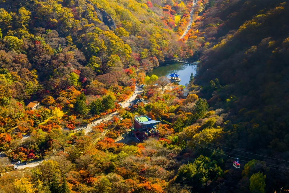 우화정(내장산) 여행 추천 - 메고지고 우화정(내장산) 여행 추천 - 메고지고