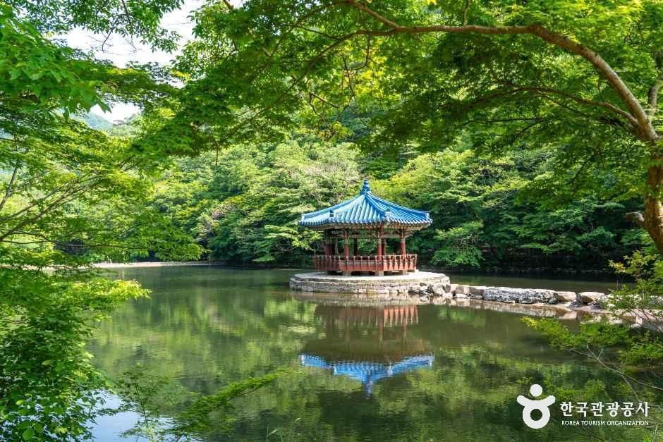 우화정(내장산) 여행 추천 - 메고지고 우화정(내장산) 여행 추천 - 메고지고