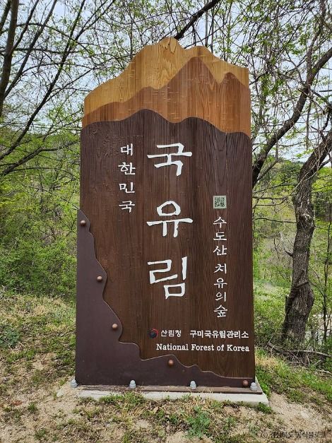 국립김천치유의숲 여행 추천 - 메고지고