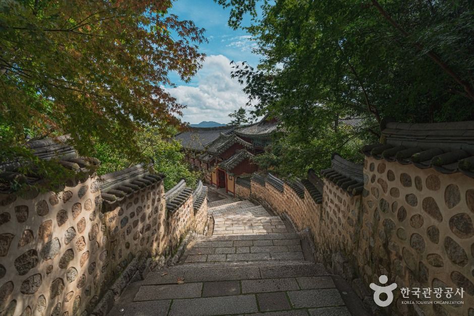 범어사(부산) 여행 추천 - 메고지고 범어사(부산) 여행 추천 - 메고지고