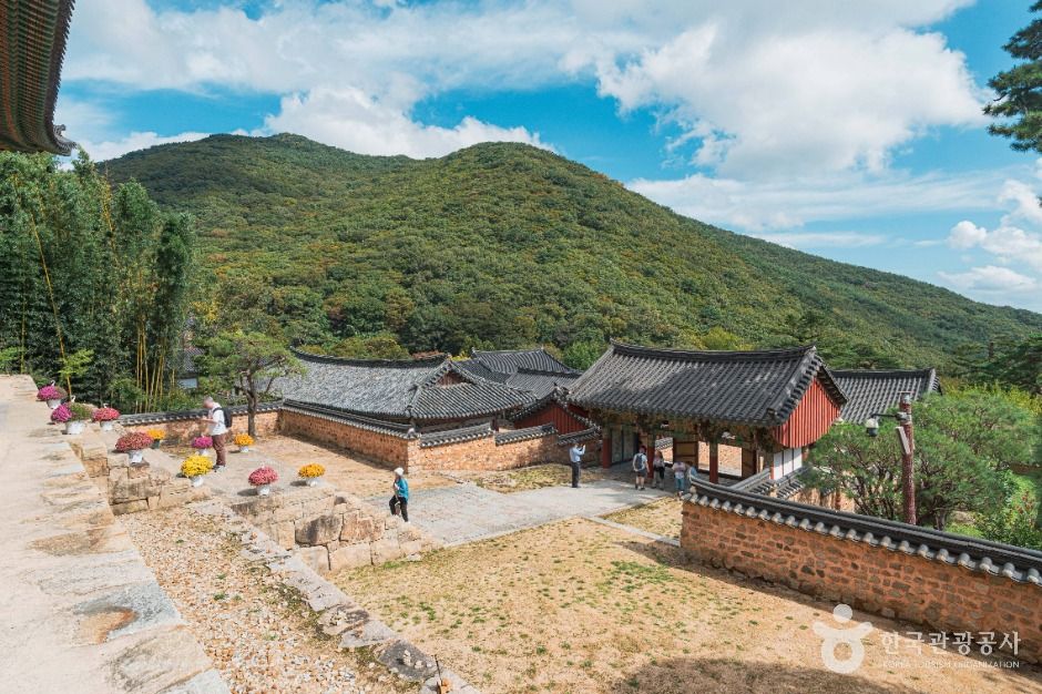 범어사(부산) 여행 추천 - 메고지고 범어사(부산) 여행 추천 - 메고지고