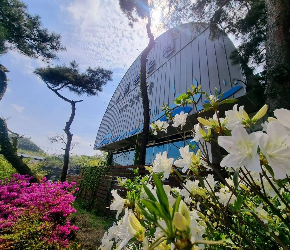 월문온천 휴양지 여행 추천 - 메고지고 월문온천 휴양지 여행 추천 - 메고지고