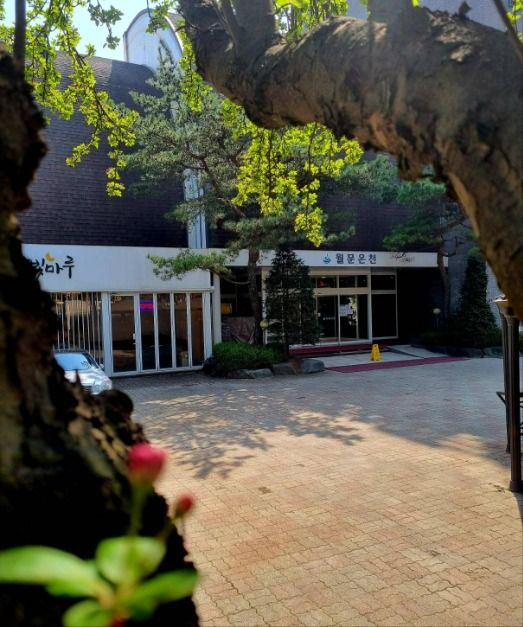월문온천 휴양지 여행 추천 - 메고지고 월문온천 휴양지 여행 추천 - 메고지고