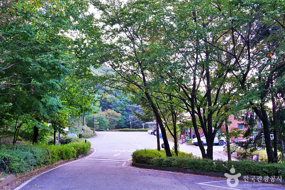 수레의산자연휴양림 여행 추천 - 메고지고