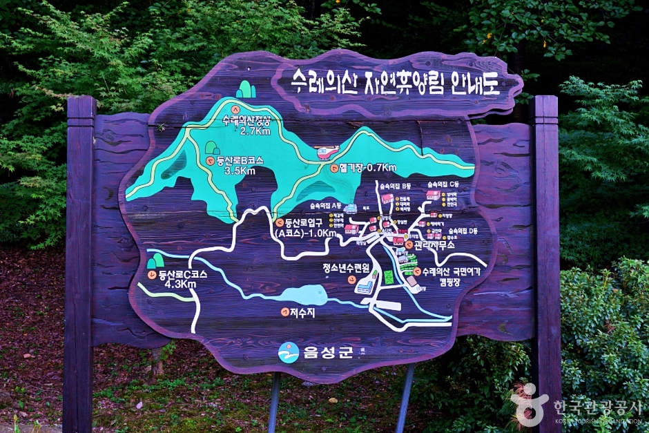 수레의산자연휴양림 여행 추천 - 메고지고