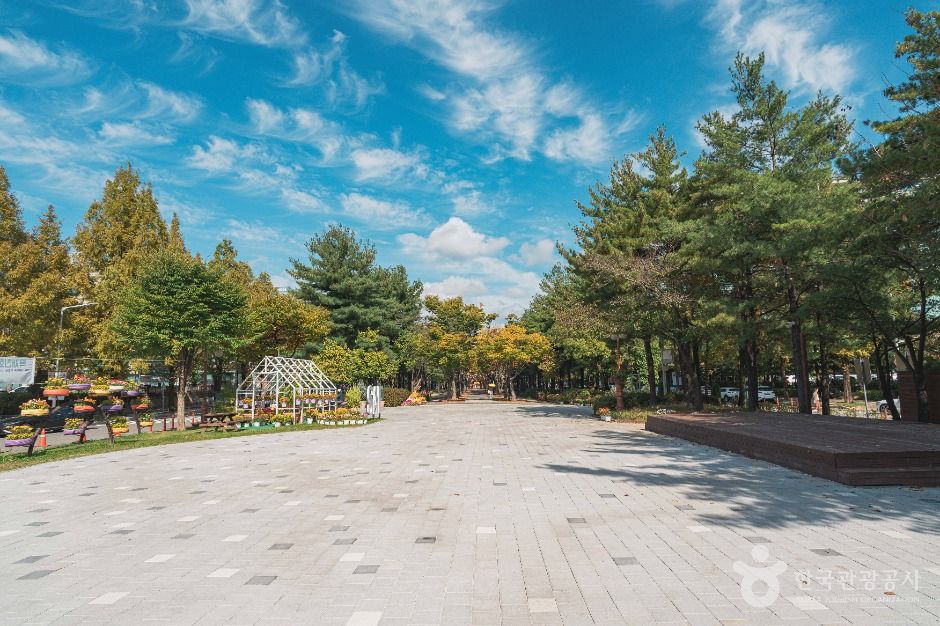 보라매공원(대전) 여행 추천 - 메고지고