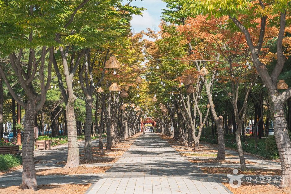 보라매공원(대전) 여행 추천 - 메고지고