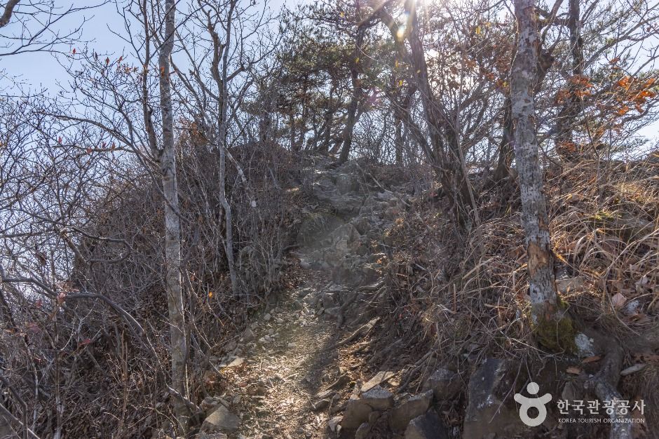 연자봉 여행 추천 - 메고지고 연자봉 여행 추천 - 메고지고