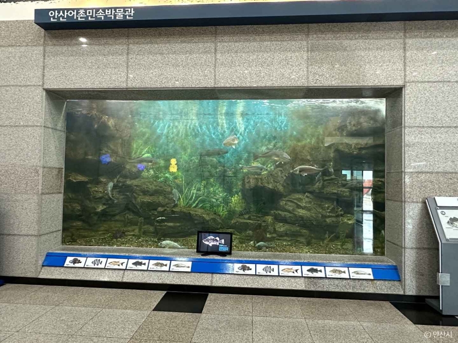 안산 어촌민속박물관 여행 추천 - 메고지고