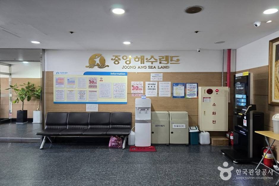 중앙해수랜드 여행 추천 - 메고지고 중앙해수랜드 여행 추천 - 메고지고