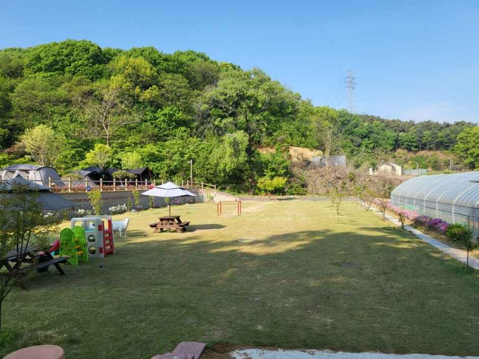 젤코바캠핑장 여행 추천 - 메고지고 젤코바캠핑장 여행 추천 - 메고지고