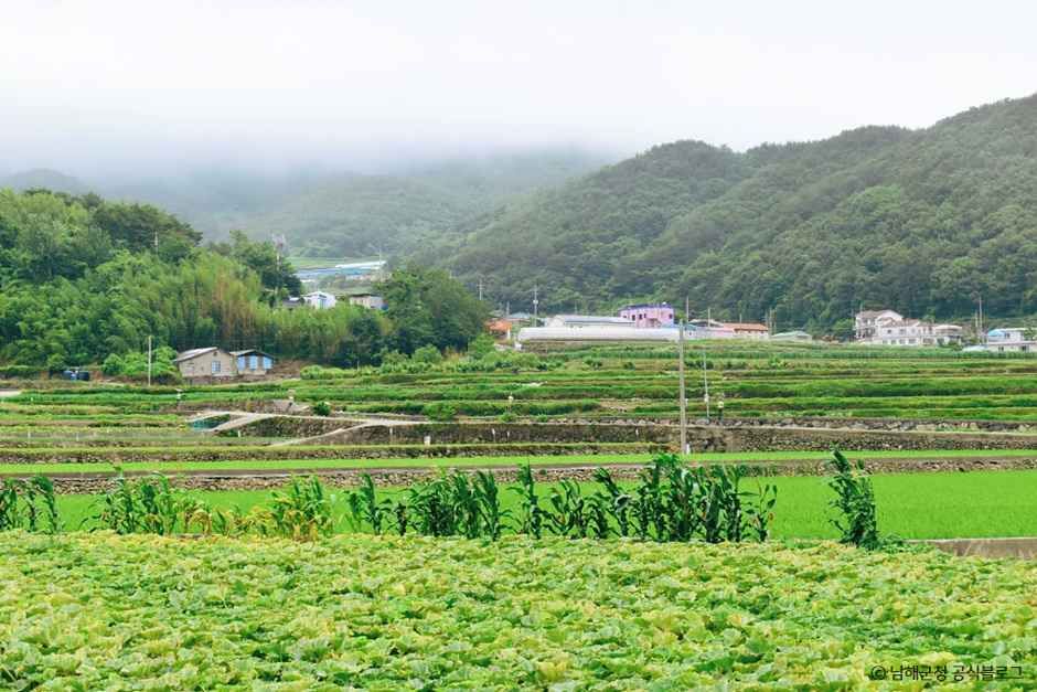 유포어촌체험마을 여행 추천 - 메고지고