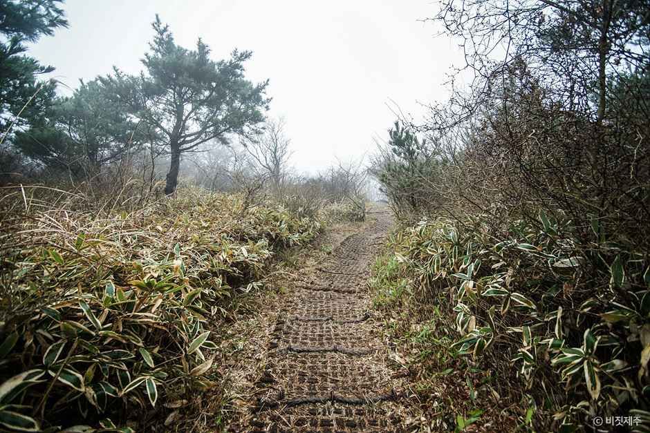 족은노꼬메오름 여행 추천 - 메고지고 족은노꼬메오름 여행 추천 - 메고지고