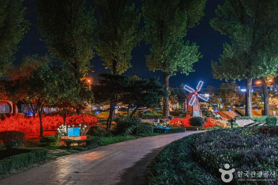 보강천미루나무숲 여행 추천 - 메고지고 보강천미루나무숲 여행 추천 - 메고지고
