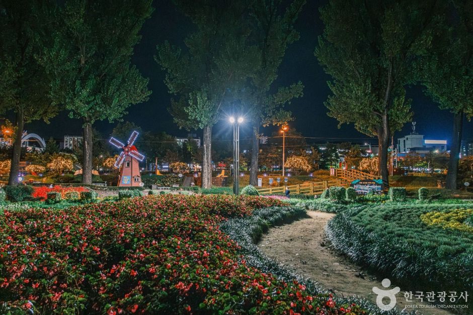 보강천미루나무숲 여행 추천 - 메고지고 보강천미루나무숲 여행 추천 - 메고지고