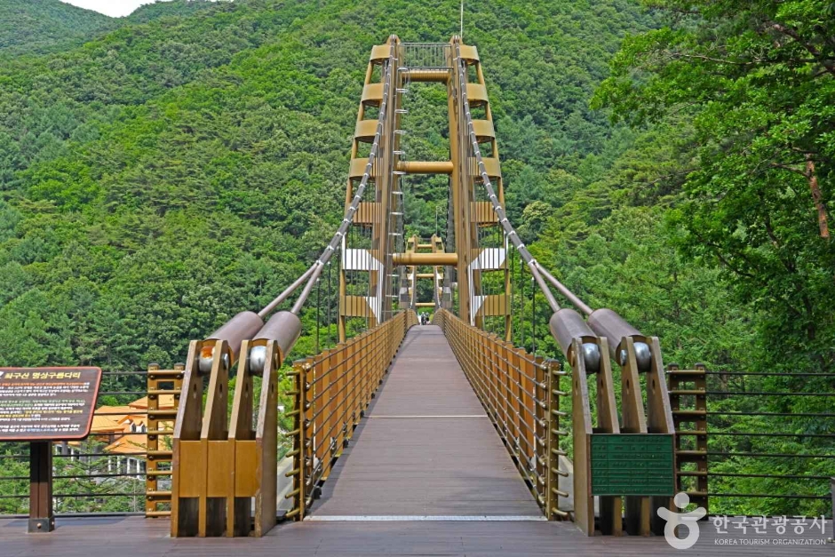 증평 좌구산 명상구름다리 여행 추천 - 메고지고 증평 좌구산 명상구름다리 여행 추천 - 메고지고