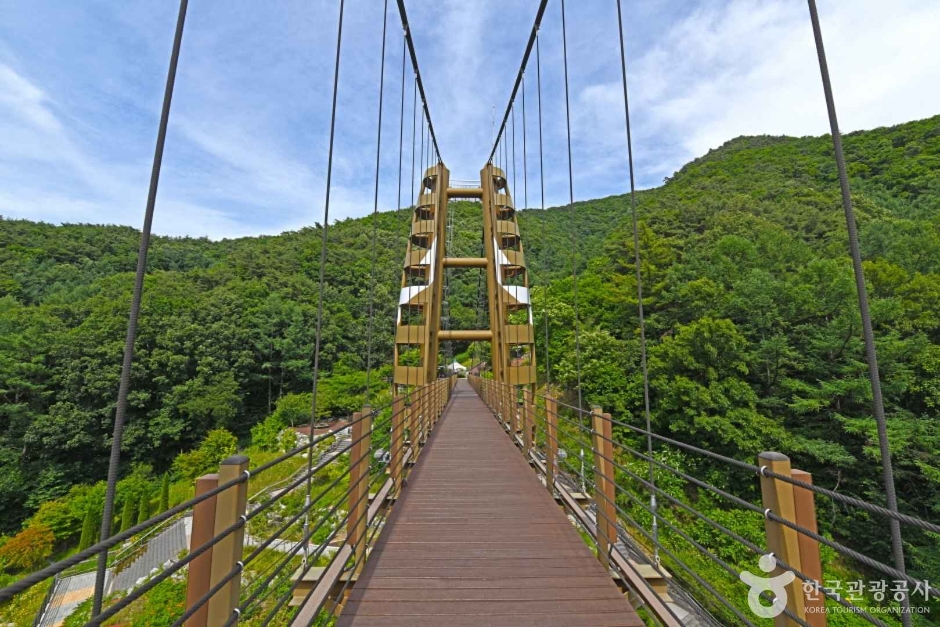 증평 좌구산 명상구름다리 여행 추천 - 메고지고 증평 좌구산 명상구름다리 여행 추천 - 메고지고