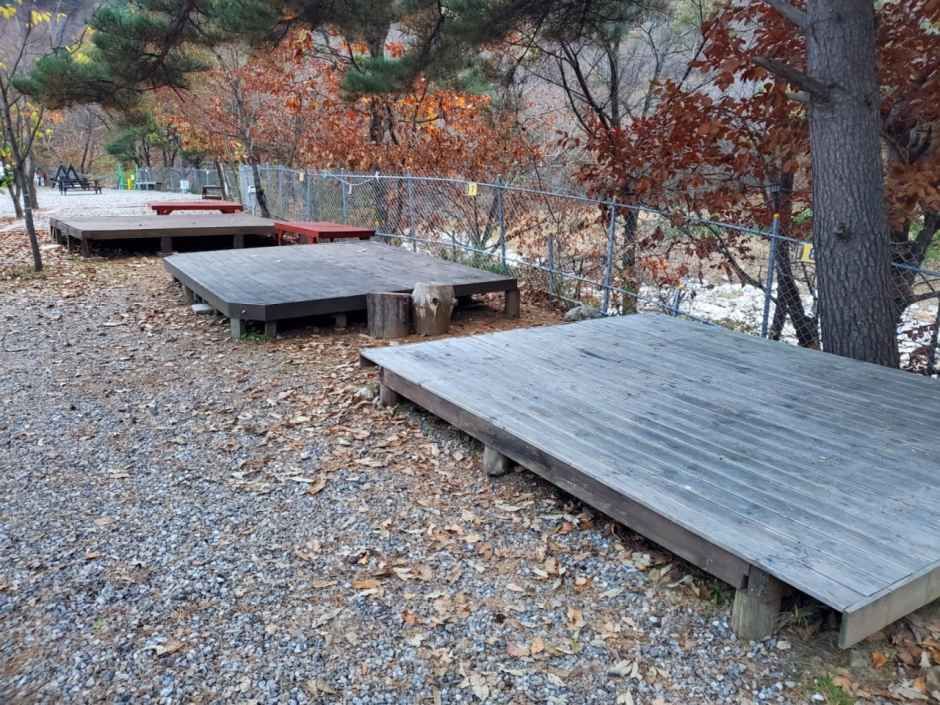 오색산새소리캠핑장 여행 추천 - 메고지고 오색산새소리캠핑장 여행 추천 - 메고지고