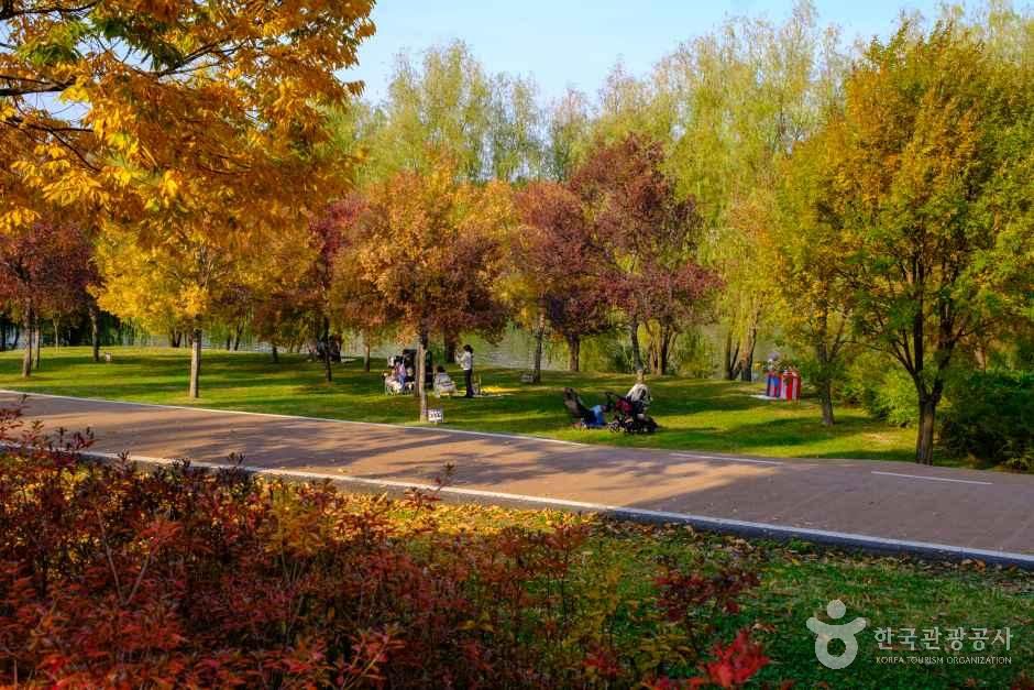양화한강공원 여행 추천 - 메고지고 양화한강공원 여행 추천 - 메고지고